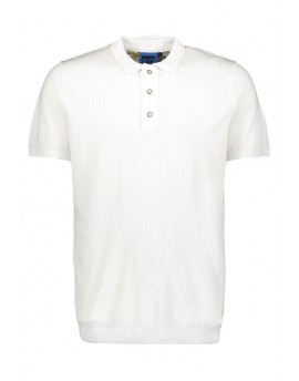 Best Company  POLO