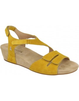 Benvado  Miu camoscio mango Calz. F.5