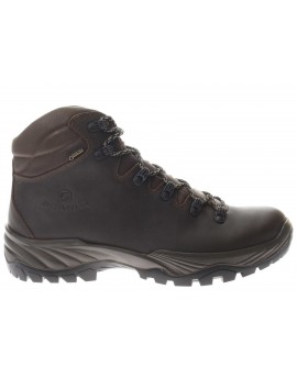Scarpa  Terra Gtx in pelle